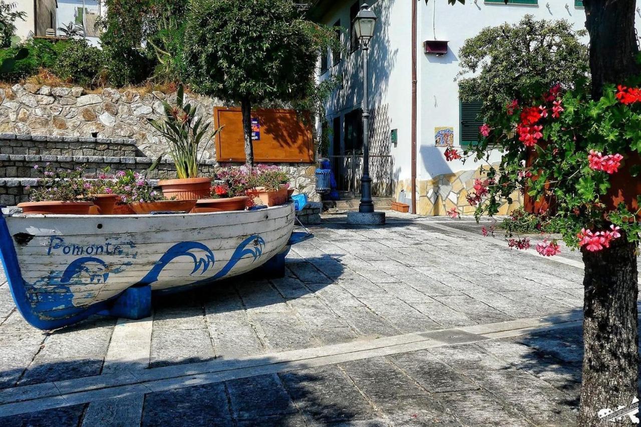 Casa Tina Lägenhet Pomonte Exteriör bild