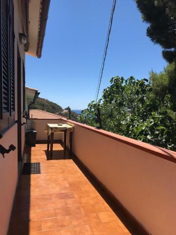 Casa Tina Lägenhet Pomonte Exteriör bild